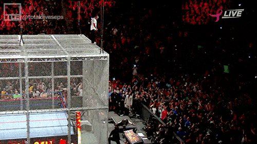 Shane McMahon starting to wonder if leaping from 40-foot structures is not such a great idea after all