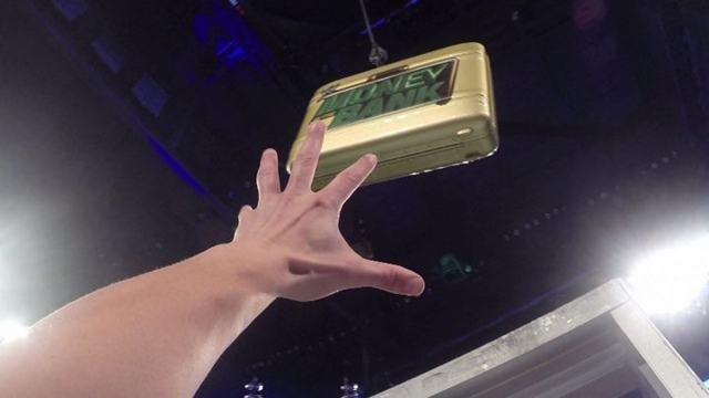 Study proves pro wrestlers climb ladders 100 times slower than average humans