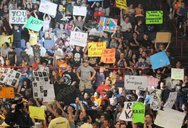 Study shows that any moron can technically be a “smart” wrestling fan