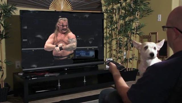 #FatJericho hashtag trends amid online body-shaming by #FatterFans