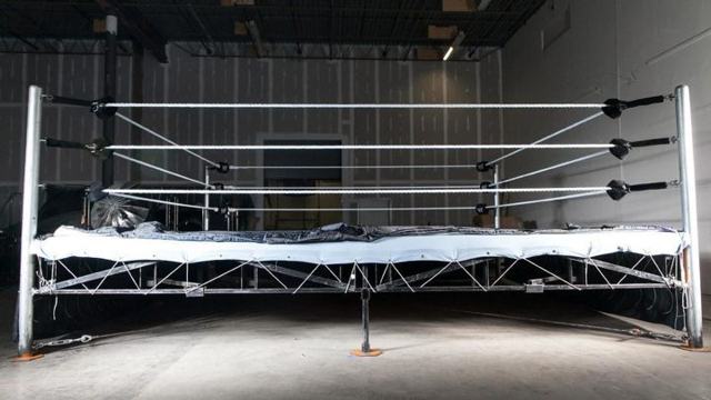 Here’s the full list of the seven pro wrestlers who aren’t lecherous pigmen