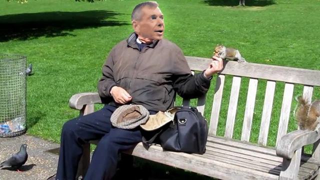Vince McMahon reportedly spending retirement in park feeding ducks and squirrels