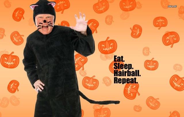 Adorable! Check out Brock Lesnar’s kitty-cat Halloween costume