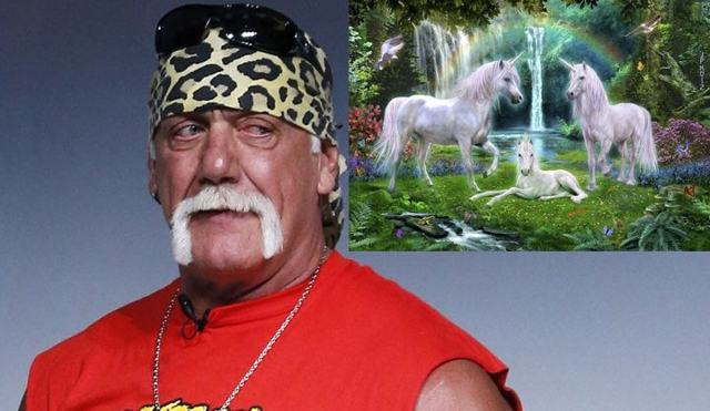 Hogan allegedly makes controversial remarks about unicorns