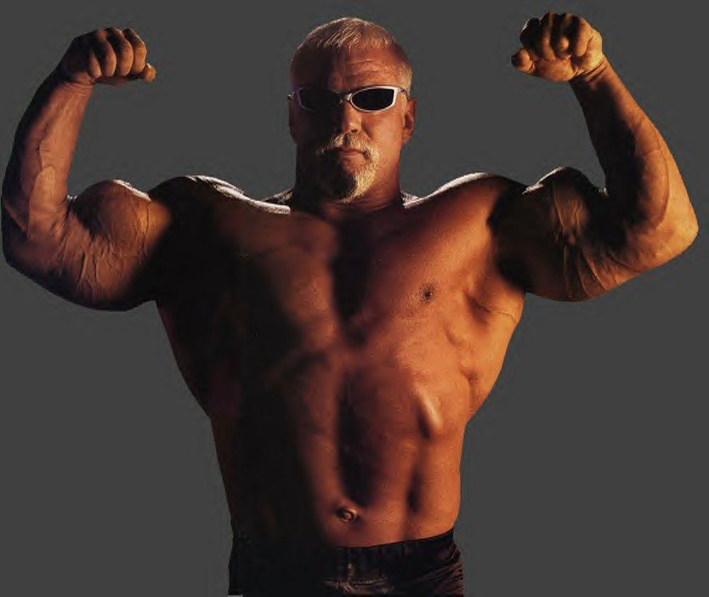 Scott Steiner spells word correctly in tweet