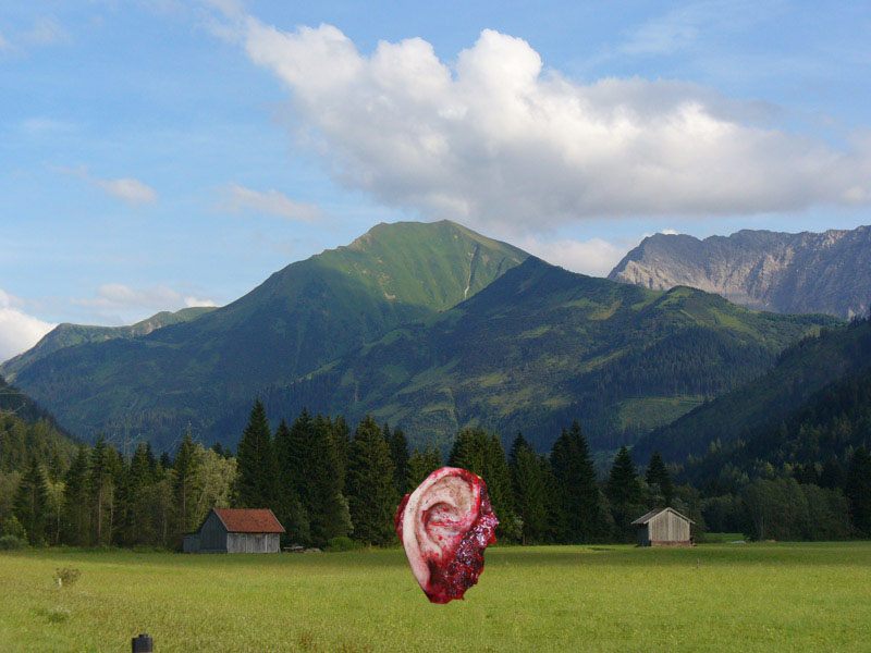 Mick Foley’s ear still roaming German countryside in search of its master
