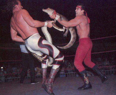 Steamboat’s komodo dragon still dreams of eating Damien