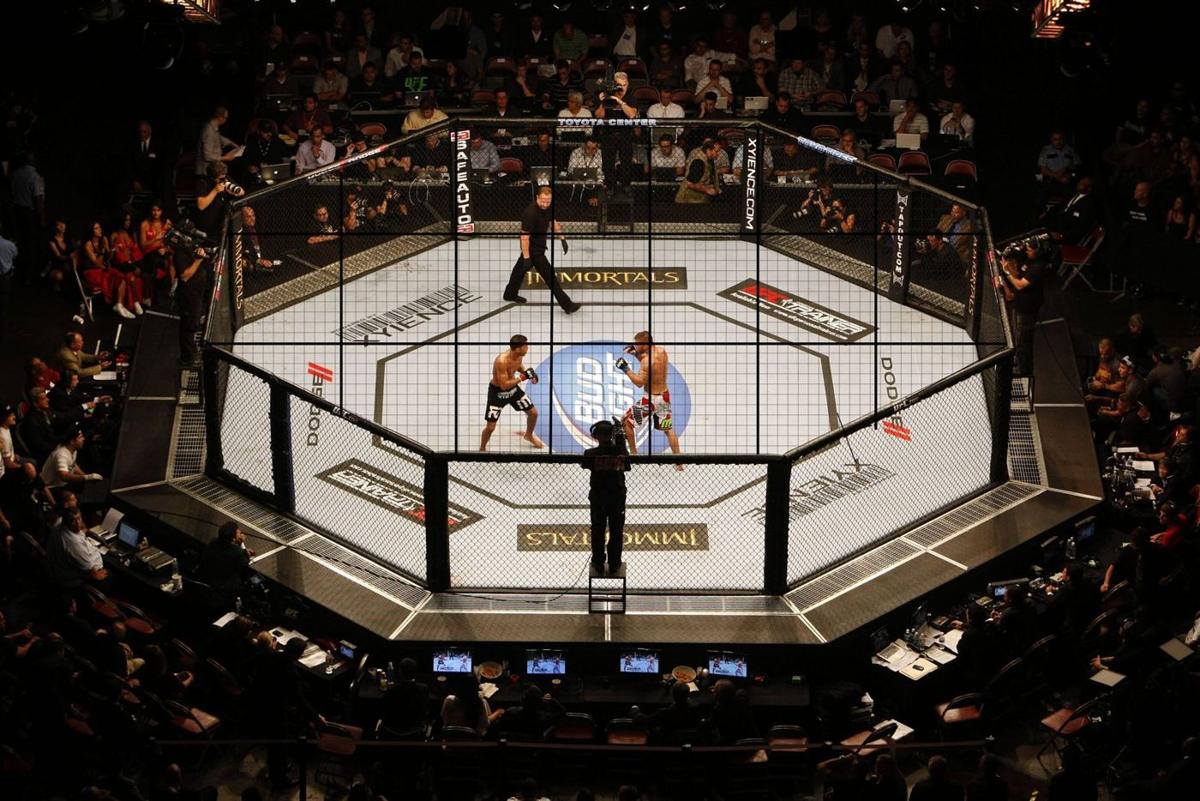 UFC rips off WWE with roofed “Hell in an Octagon”