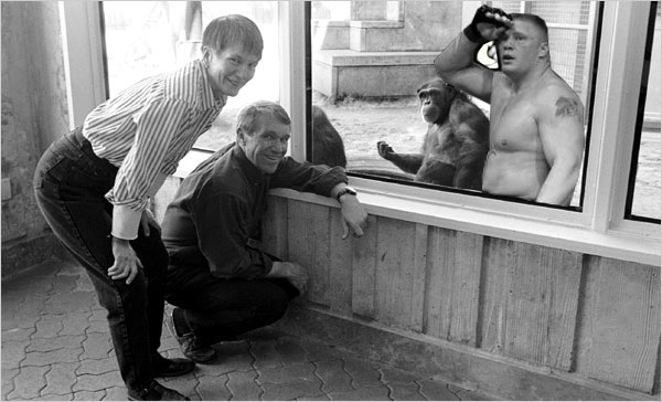 Primatologists teach Lesnar to communicate with basic sign language