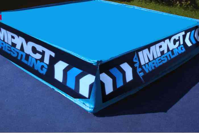 TNA to introduce no-sided ring