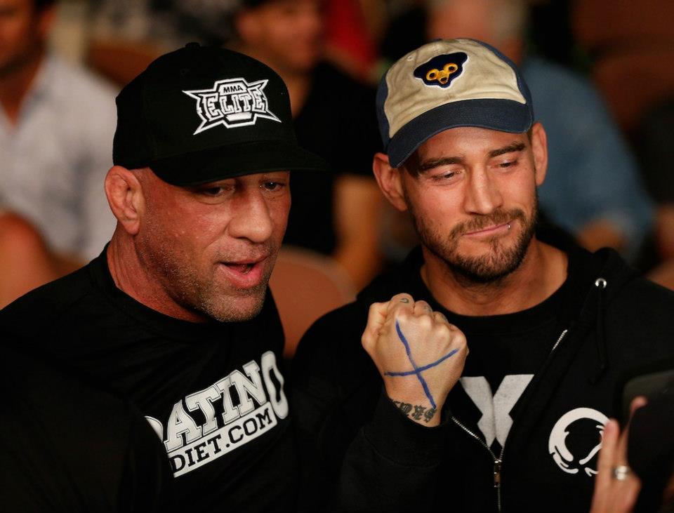 Punk quits UFC