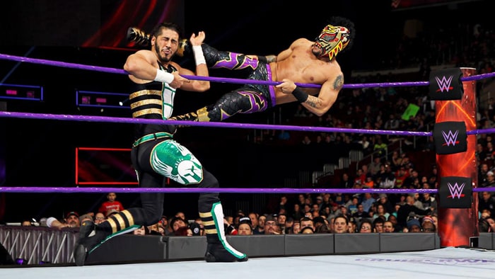 Purple ring ropes: can cruiserweights wrestle within any other color?