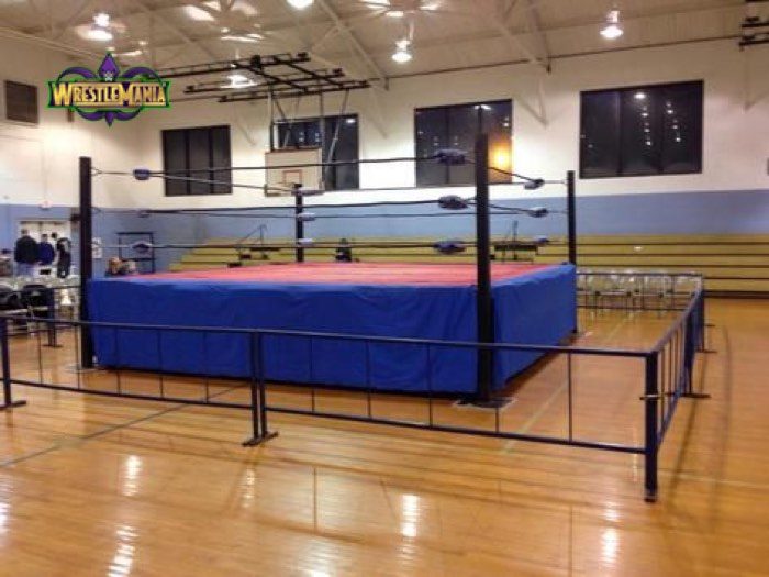 wresltemania set superdome