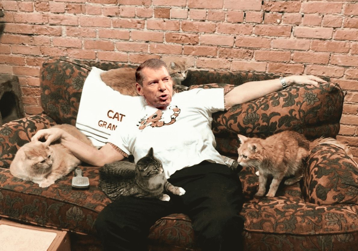 Did you know? Vince McMahon has 19 cats, each named after a rival promoter he put out of business