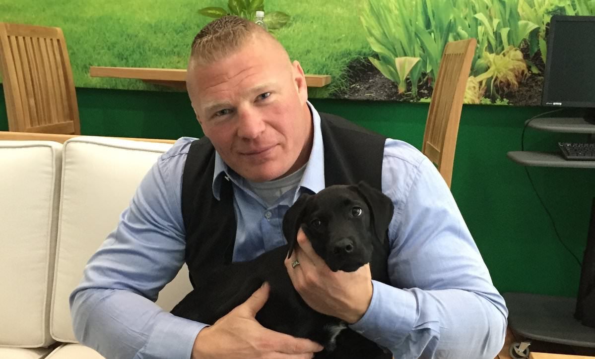 Lesnar makes new year’s resolution to work less hectic WWE schedule in 2020