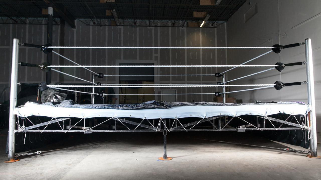 Here’s the full list of the seven pro wrestlers who aren’t lecherous pigmen