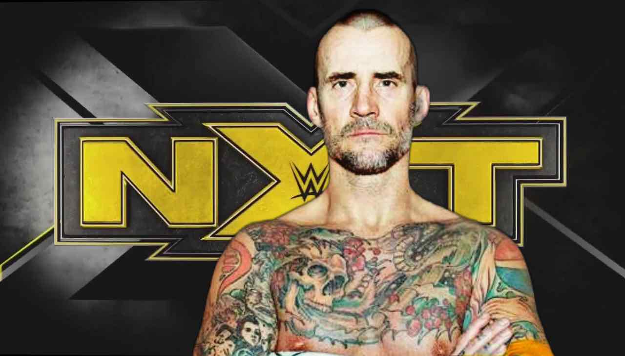 Punk demoted to NXT